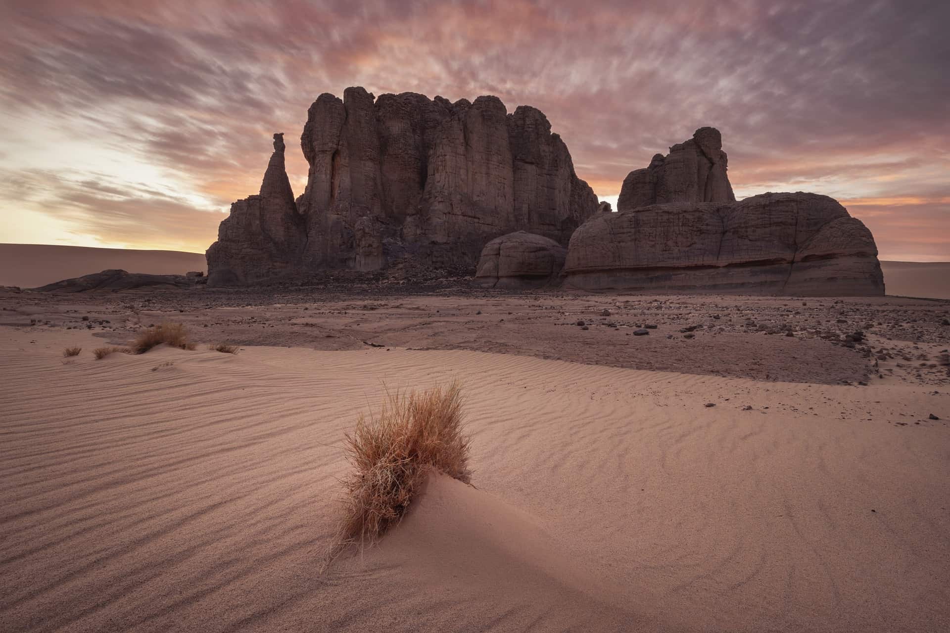 Sahara-desert - feature image